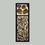 Bladderwrack and Snails   10 x30 cm